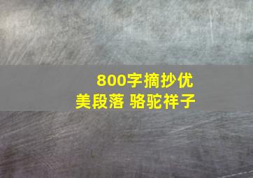 800字摘抄优美段落 骆驼祥子